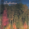 PAUL CORNELL: Reflection