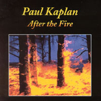 PAUL KAPLAN: After the fire