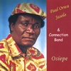 PAUL ORWA: Osiepe