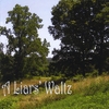 PAUL WALTZ: A Liar's Waltz