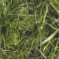 Pauseland : Pauseland