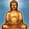 PC DAVIDOFF: Buddha