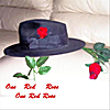 Peter Corrigan (Blues Noir), Janelle Donovan, vocals,Tony Perrino, Hammond B3 organ, Paul Brisco first solo & Peter Corrigan second solo: One Red Rose - Single