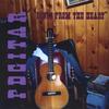 PDGITAR: Songs From The Heart