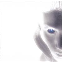 Platinum Dragon17 : Dark Awakening