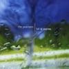 THE PEARSONS: 'Til It Storms
