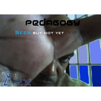 PEDAGOGY: Seen But Not Yet Visible