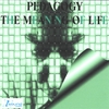 PEDAGOGY: The Meaning Of Life