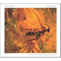 Sarah Peebles : Insect Groove