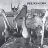 PAULL E. RUBIN/PELIKANESIS: Pelikanesis I