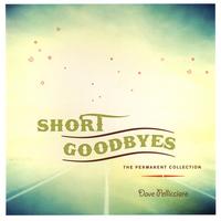 Dave Pellicciaro : Short Goodbyes-The Permanent Collection