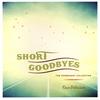 DAVE PELLICCIARO: Short Goodbyes-The Permanent Collection