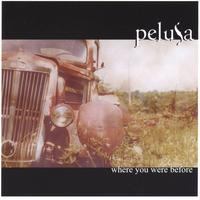 PELUSA: Where You Were Before