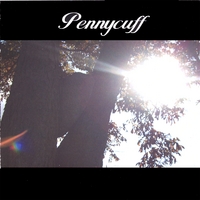 PENNYCUFF: Rock In A Tree