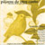 LOURDES PEREZ: Pajaros de Otro Canto / The Free Bird Agreement