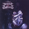 PERPETUAL SUFFERING: Perpetual Suffering