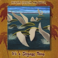 Perry Joslin : It's A Strange Thing