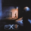 PERSPECTIVE X IV: Shadow of Doubt