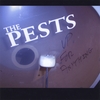 THE PESTS: Up For Anything