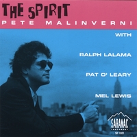 PETE MALINVERNI: The Spirit