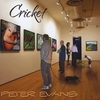 Peter Evans: Cricket