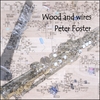 PETER FOSTER: Wood And Wires