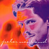 PETER NEVLAND AND THE NEVERLAND BAND: Late Bloomer