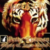 PETER RUTMAN BLUES & JAZZ BAND: Tiger's Eye Demo