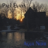 PAUL EVANS: Agua Noir
