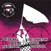 Picture Frame Seduction & True Sounds of the Revolution : Skateboarding down Merlins Hill with Penny Harry
