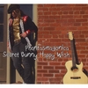 PHANTASMAGONICA: Secret Bunny Happy Wish