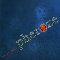 Pheroze : Driftwood