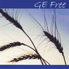 PHIL VERNON: GE Free