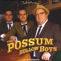 The Possum Hollow Boys: Introducing