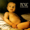 Natasha's Epicurean Picnic