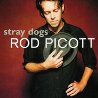 Rod Picott : Stray Dogs