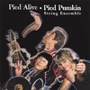 THE PIED PUMKIN: Pied Alive