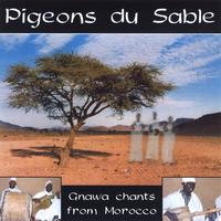 Pigeons du Sable : Gnawa chants from Morocco