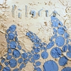 PILGRIM: Phonetics