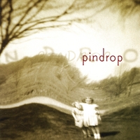 PINDROP: pin drop
