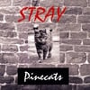 Pinecats: Stray