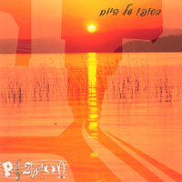 Pizmon : At the End of the Day