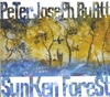 PETER JOSEPH BURTT: Sunken Forest
