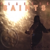 PLASTIC SAINTS: Evolved