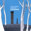 PLATZ/KLARE: Gathering