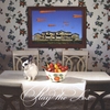 PLAY THE FOX: Born Today
