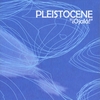 PLEISTOCENE: Ojala