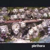 PLETHORA: Plethora