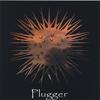 PLUGGER: Plugger