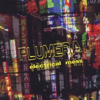 Plumerai : Electrical Mess